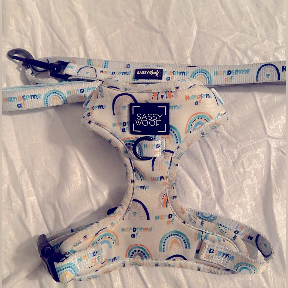 Handsome af harness and leash size xs